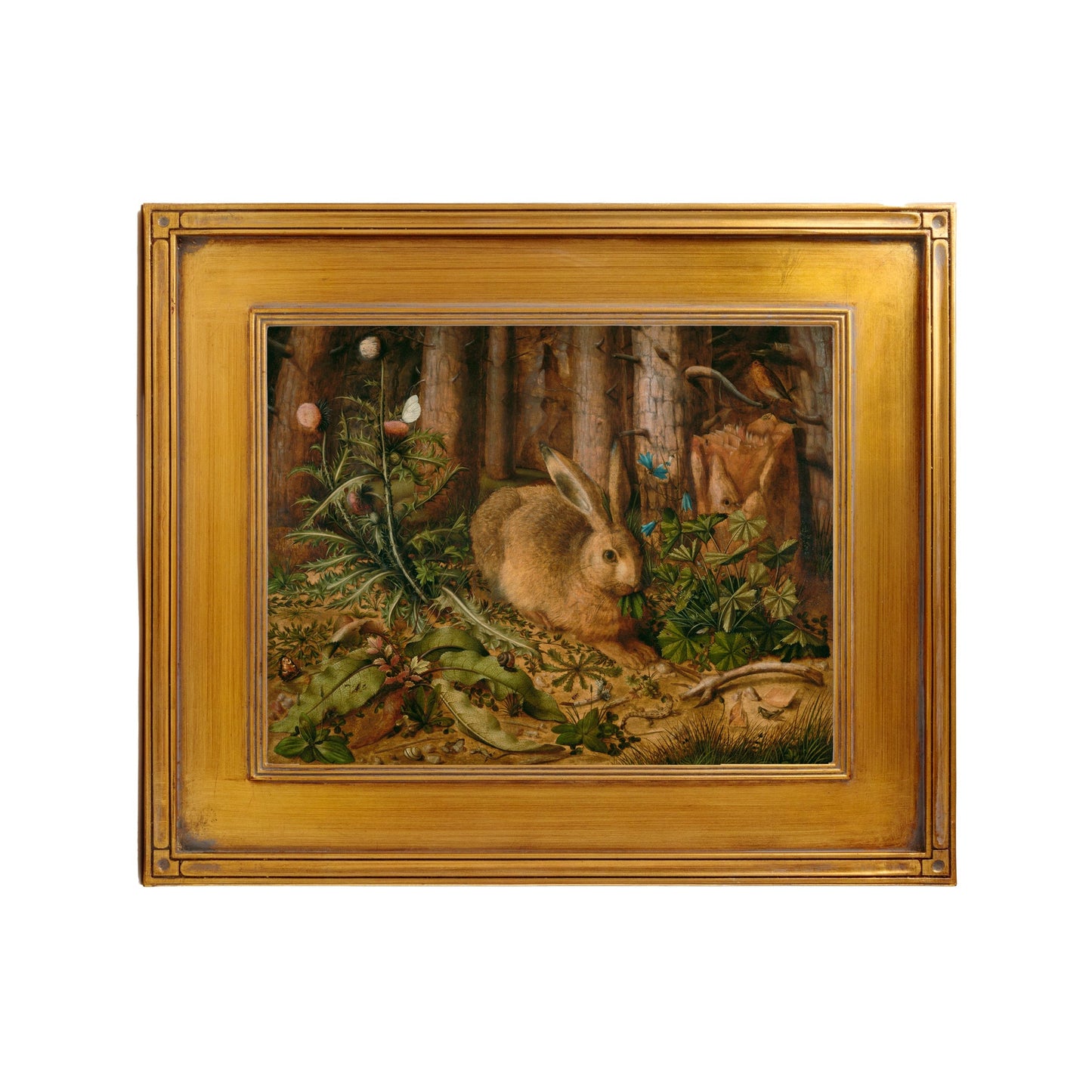 A Hare in the Forest Gm-14042501